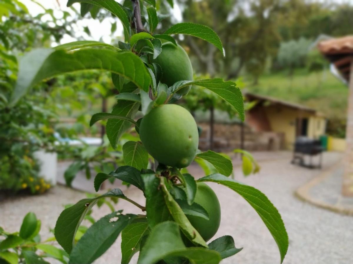 Casa Rural El Bonito カサジャ・デ・ラ・シエラ エクステリア 写真