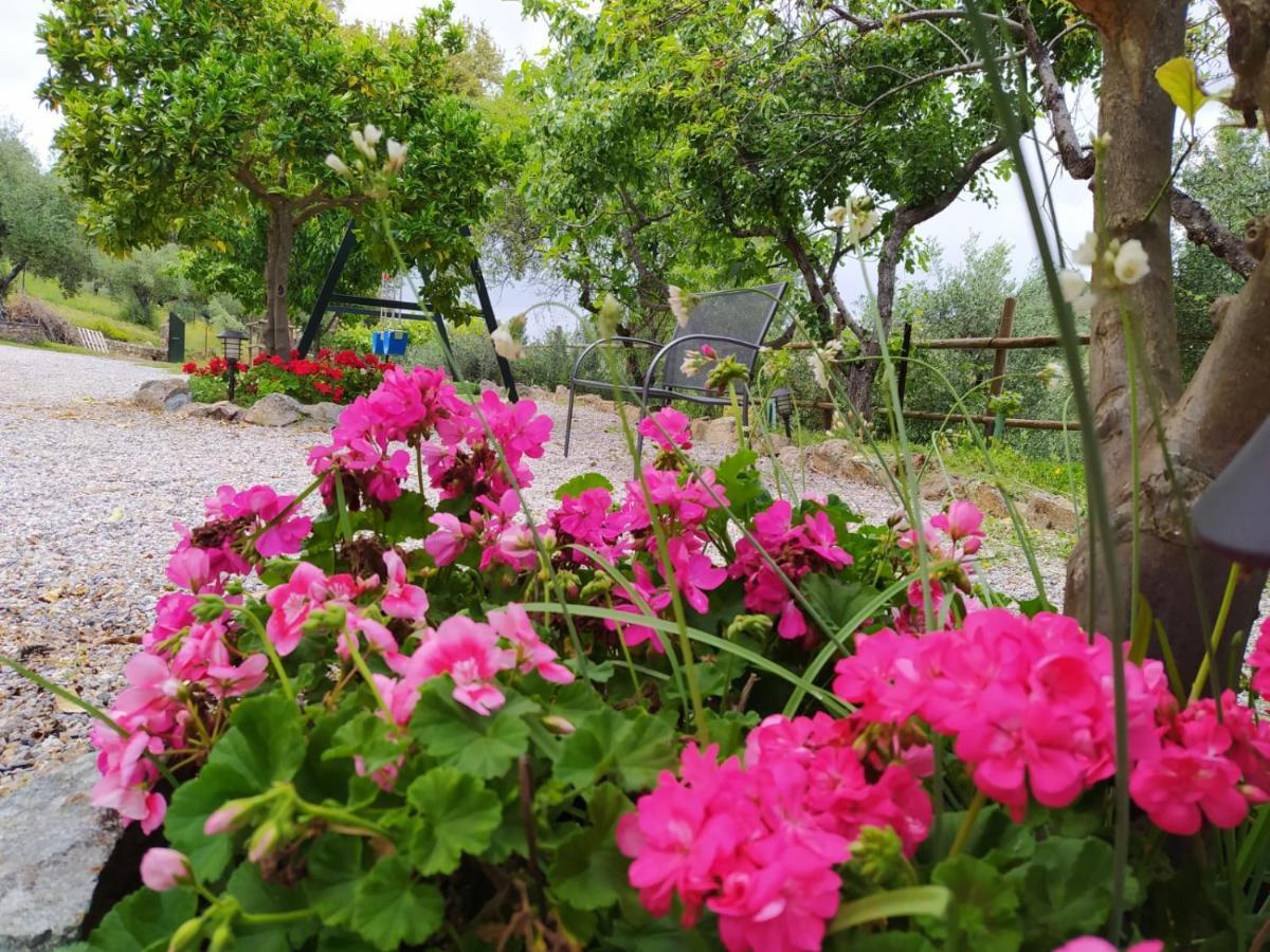 Casa Rural El Bonito カサジャ・デ・ラ・シエラ エクステリア 写真